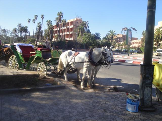 La Fontaine Daire Marakeş Dış mekan fotoğraf
